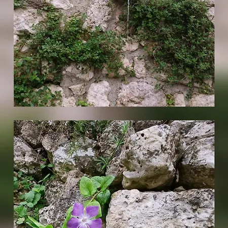 公寓 Adhemar, L'escalier Medieval La Garde-Adhémar